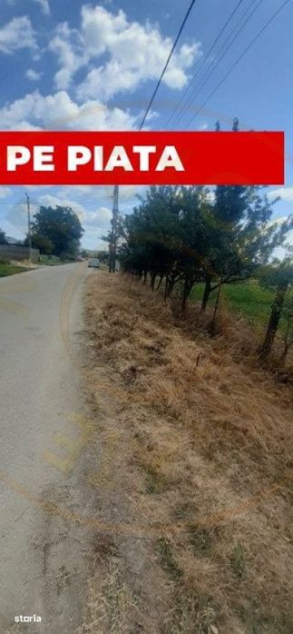 0% Comision - Teren Generos 5000 Mp  Golesti - Arges