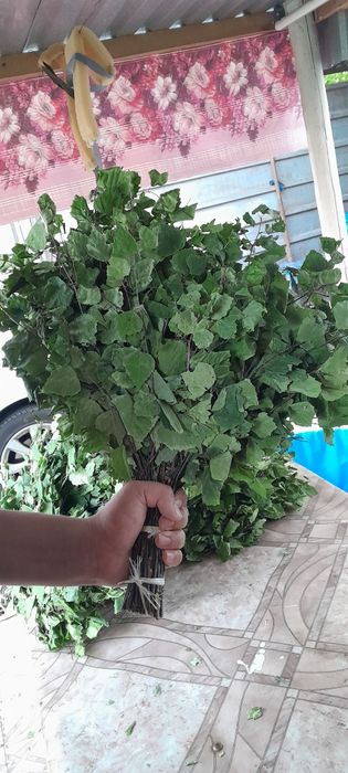 Веники для бани берёзовые