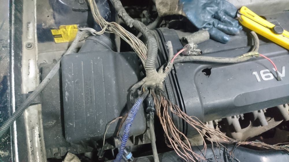 Авто диагностика.