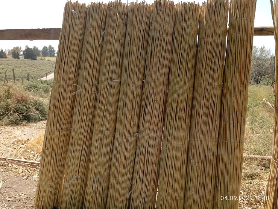 Заборга камиш сотилади