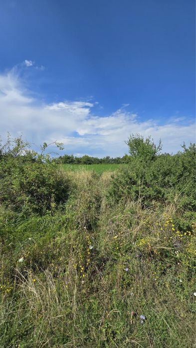 Vand teren agricol Dealul Fanatelor