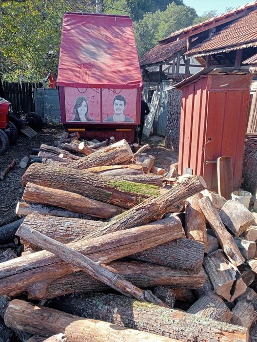 Carbune lignit si lemne foc