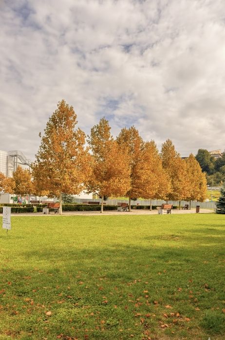 PF vand apartament 3 camera in curte la Vivo 70 Mp