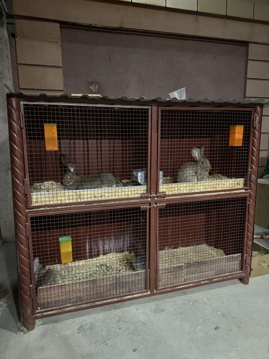 Quyon qafas sotiladi