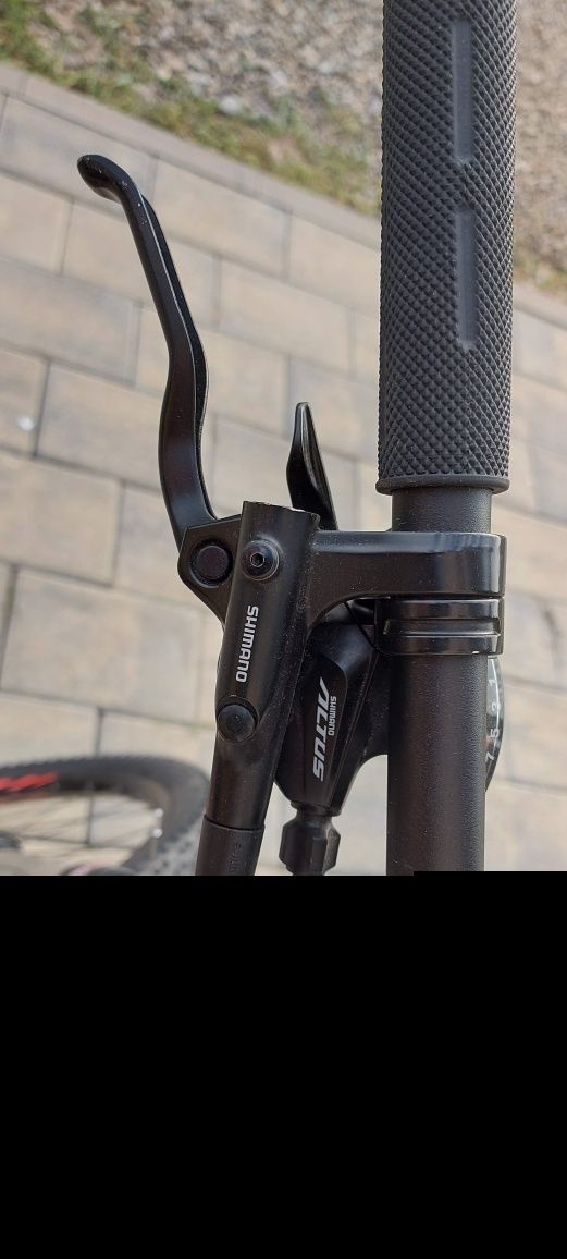 Bicicletă focus pentru adulti