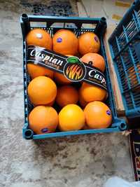 Апельсины свежие! Оптом 12000кг кг