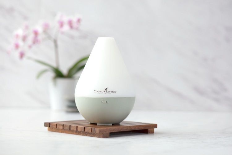 Difiuzer young living