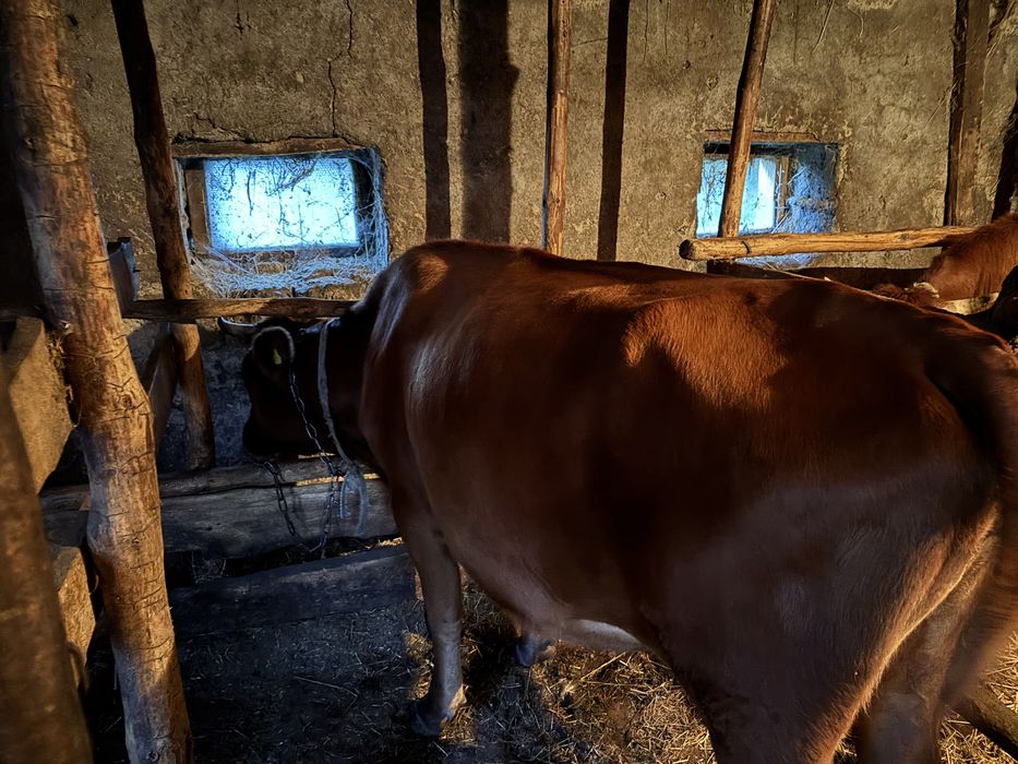 Продом первателку