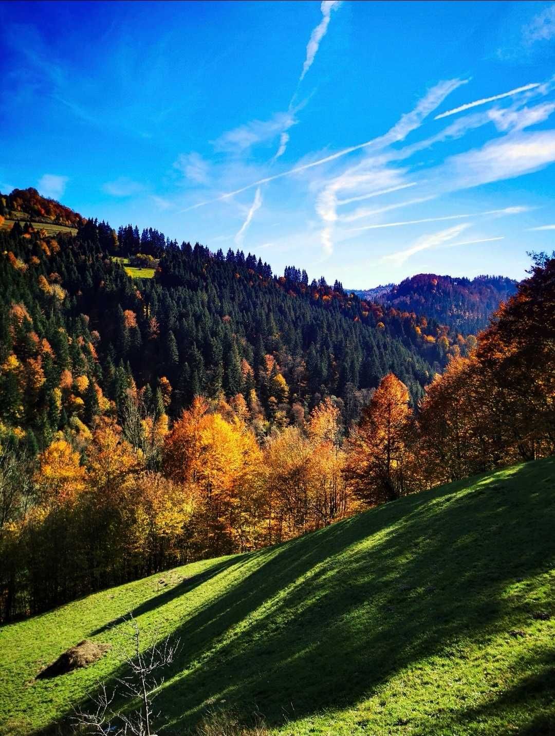 Afacere turism + teren + casă Apuseni