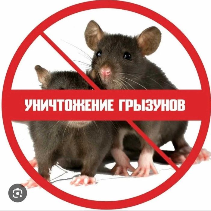 Бытовая химия д.е.з.и.н.ф.е.к.ц.и.я мыши крысы тараканы клопы туман