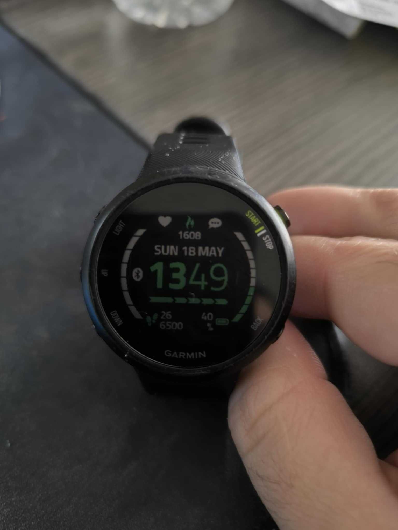 Garmin Forerunner 45
