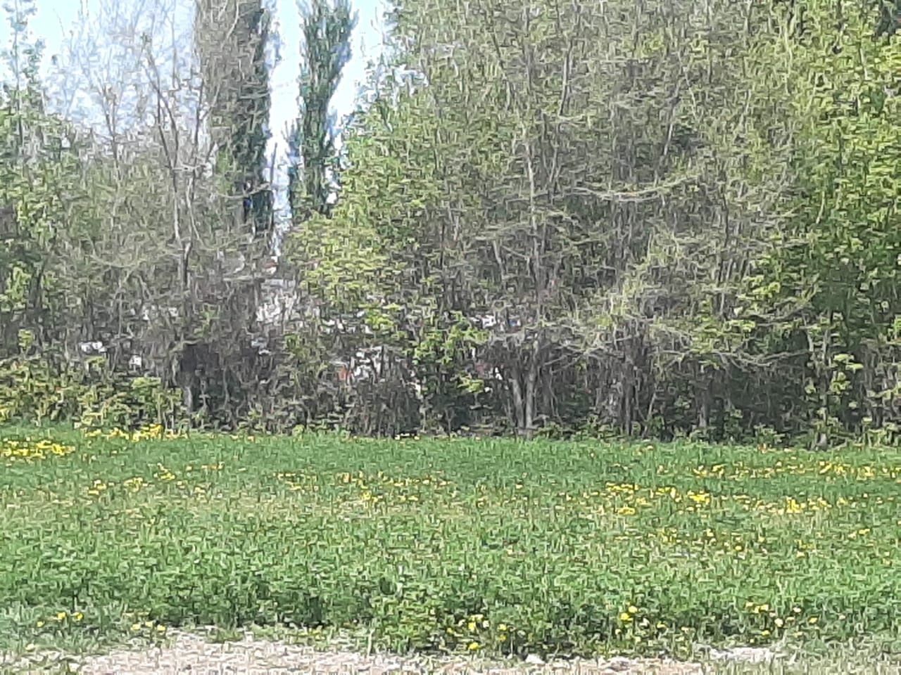 Дом в пригороде селе Бактыбай
