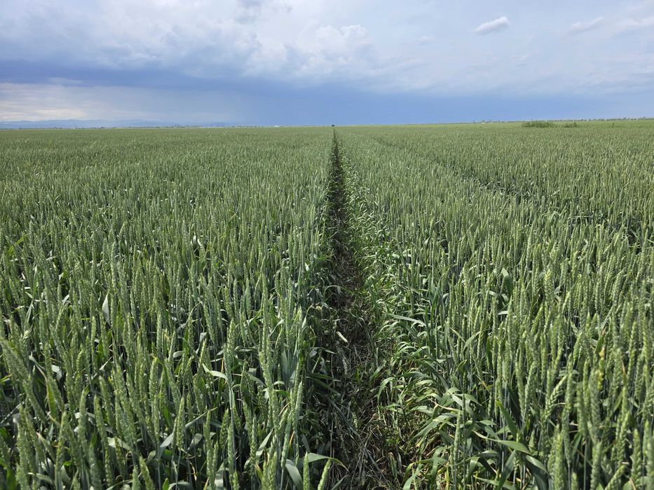 Vând fermă agricola