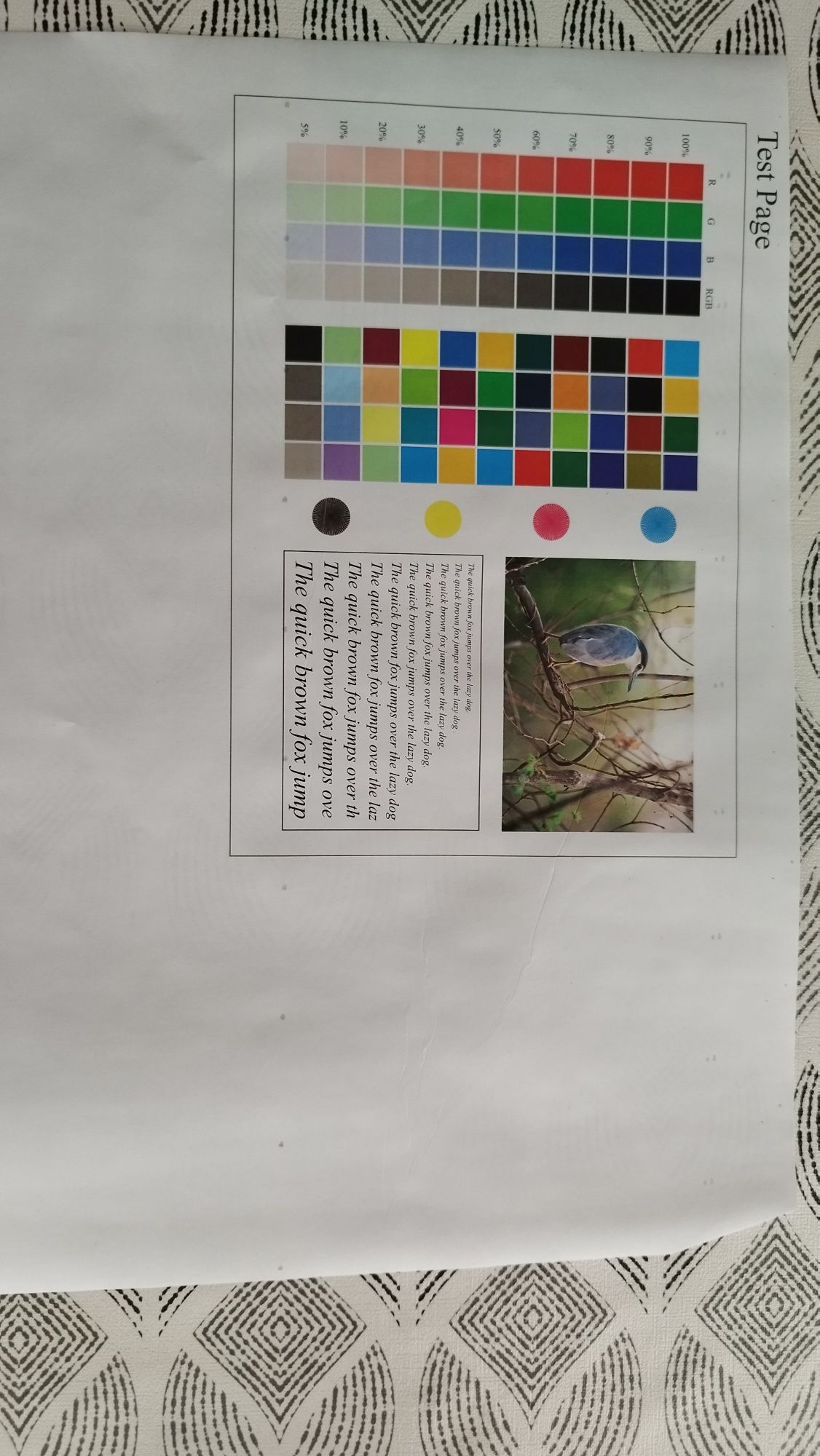 Принтер konica minolta vizhub c220