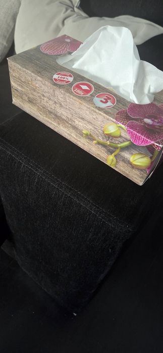 Canapea extensibila cu 3 locuri