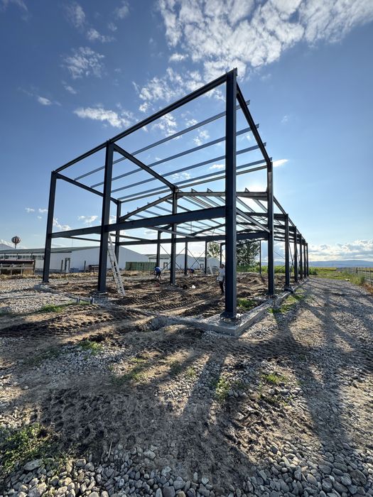 Vand structura metalica