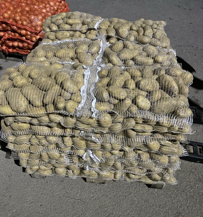 Топ качество до адрес-Картоф, Лук и Круша