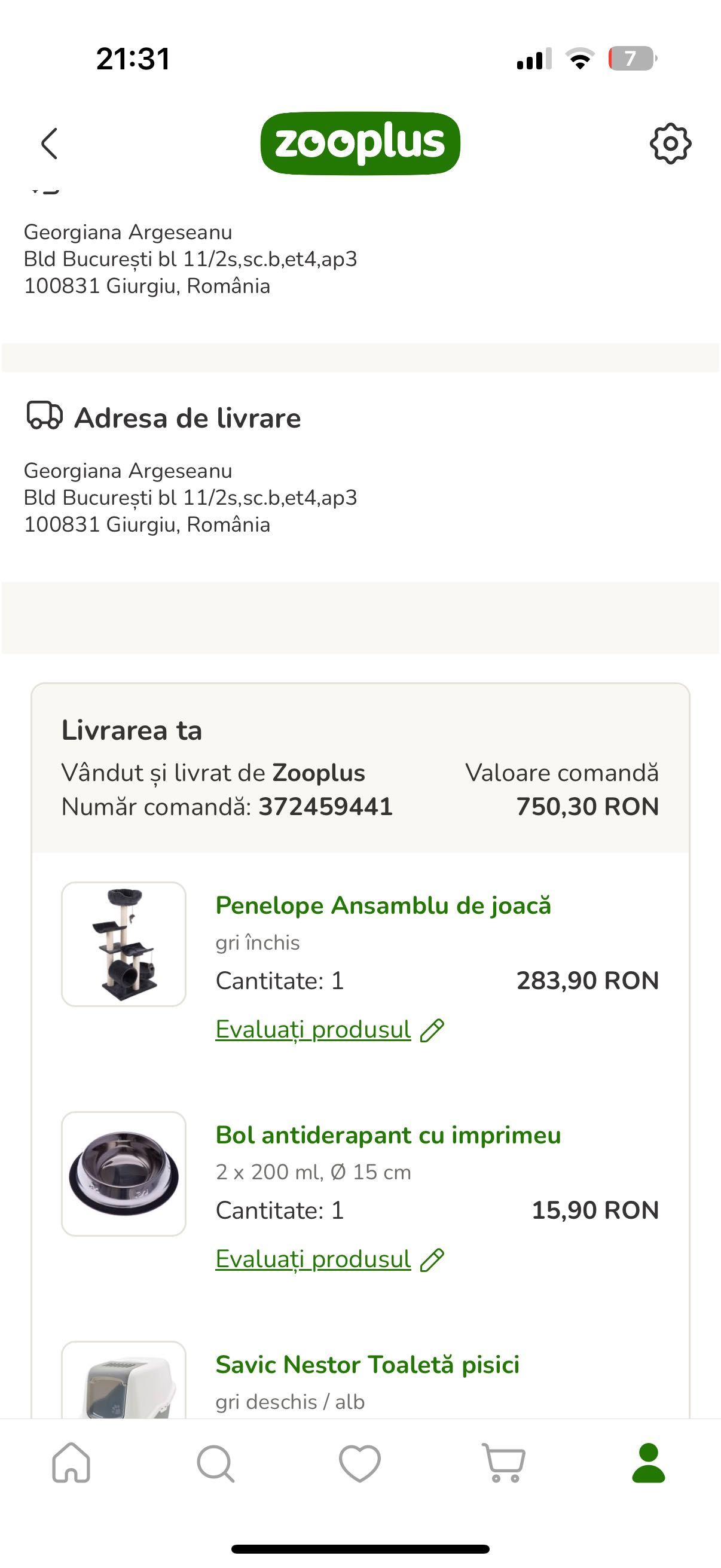 Ansamblu de joacă pisici