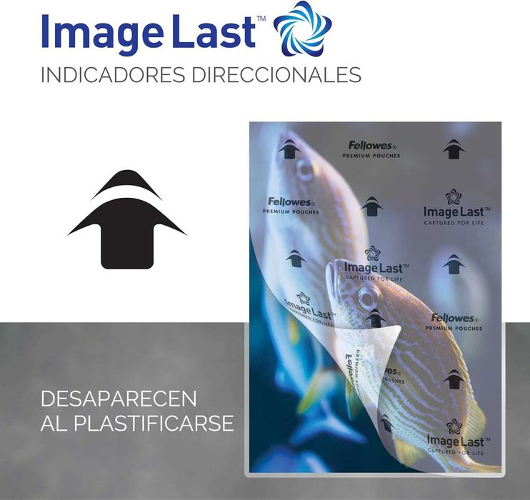 Fellowes A4 Laminating Sleeves, гланцово покритие, 100 листа, 160 микр