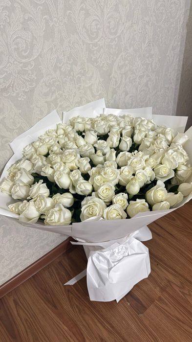 голландские розы