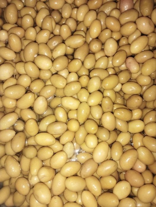 Salyoniy turkey eng yaxshi tam va lazatli