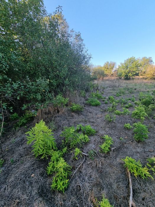 Продавам къща в с.Засмяно 70 000 евро