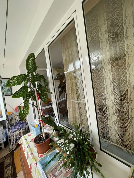 Apartament de 3 camere