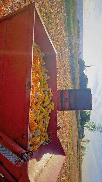 Sip sempeter Eko 3500