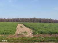 teren intravilan Magurele, Str Romanitei