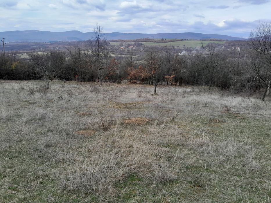 ПИ - 1200 м2 в с. Косача