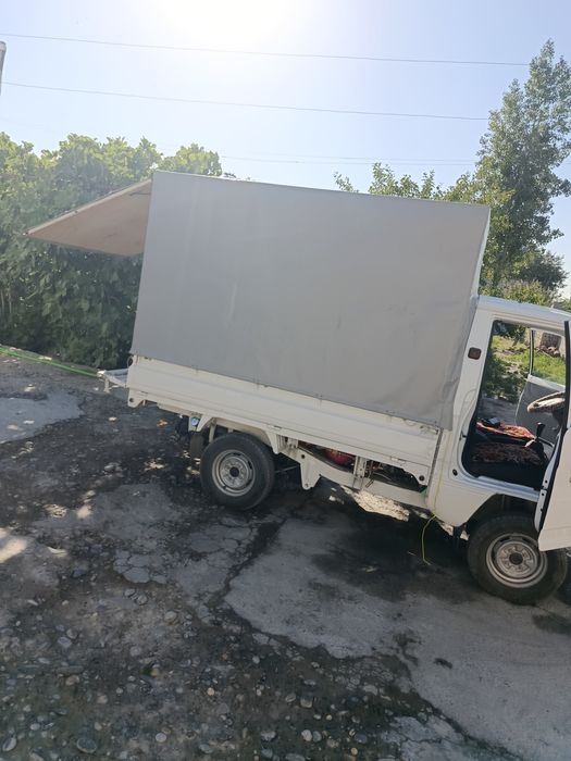 Labo tint kampilik