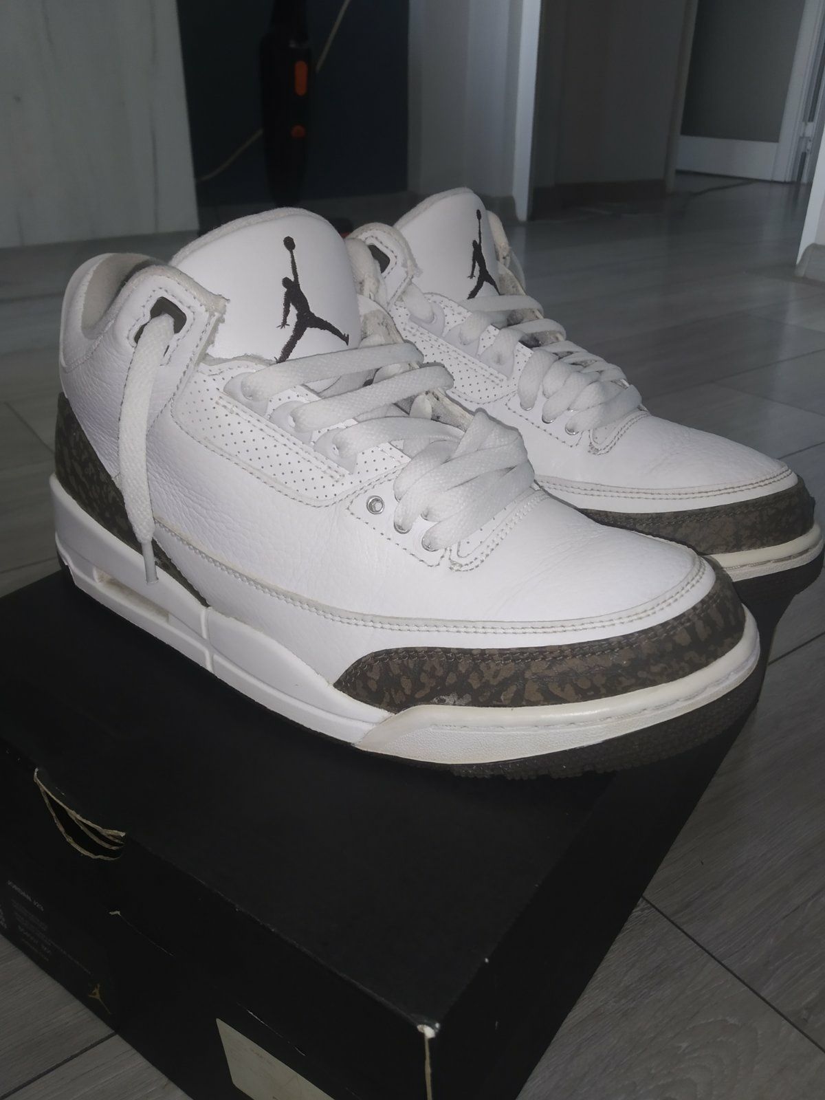 Jordan 3 Retro Mocha 2018