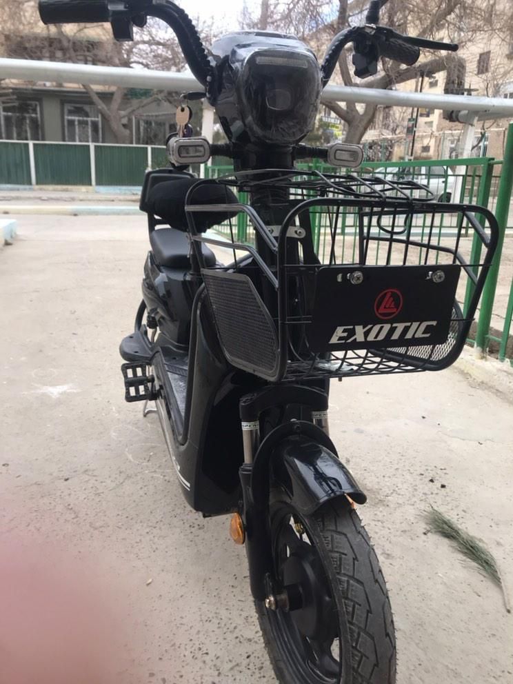 Exotic skuter yangi