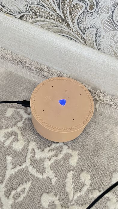 Алиса мини калонка