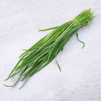 Лук джусай ( полезная зелень с чесночным ароматом)