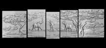 Tablou decorativ - Safari