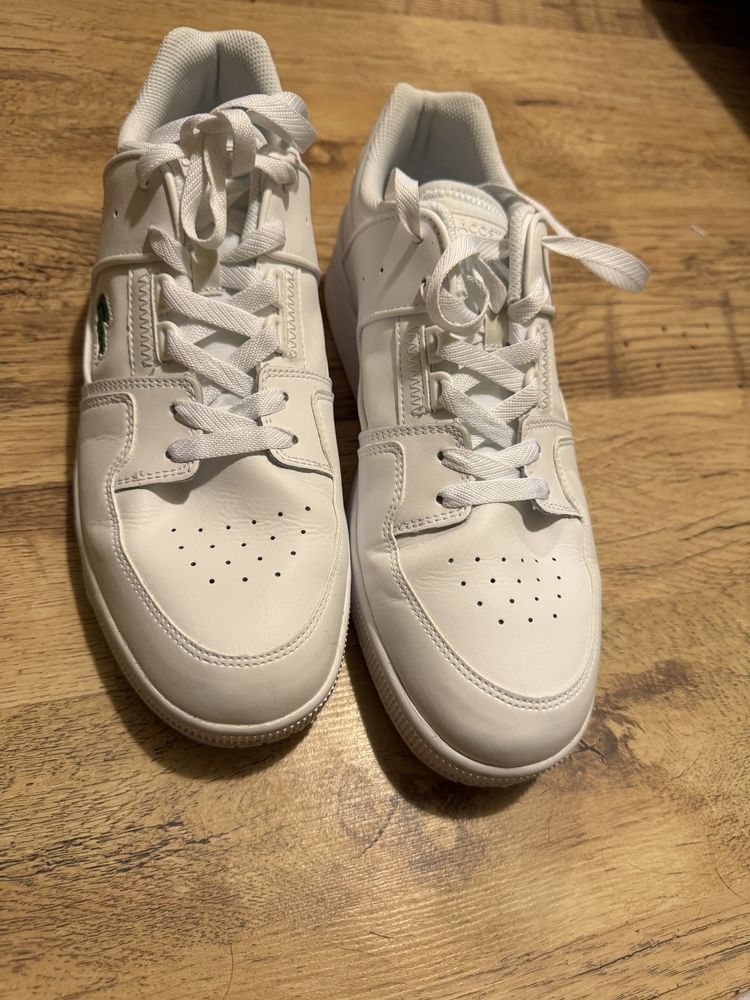 Lacoste Sneakers