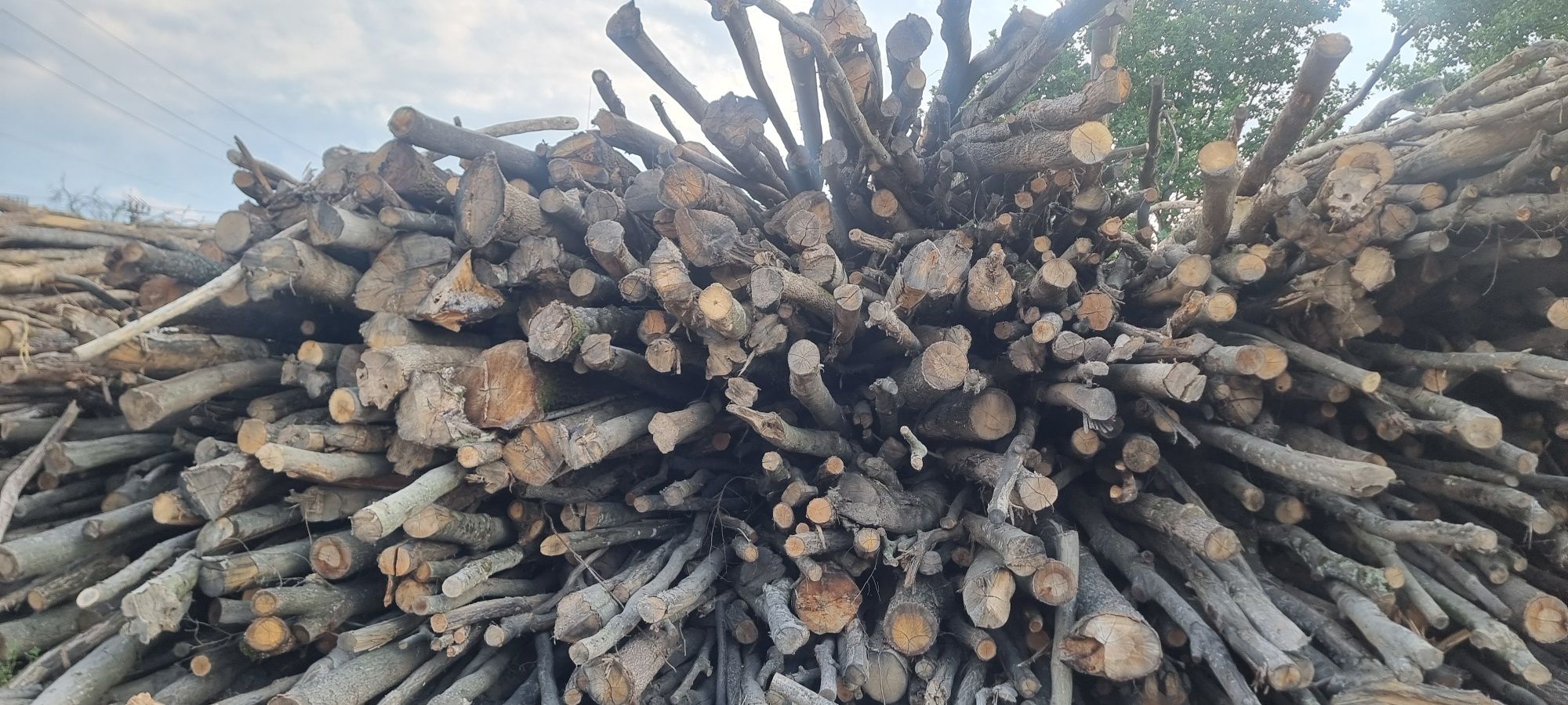 Lemn de foc cu încărcare din depozit Făget, jud Timiș
