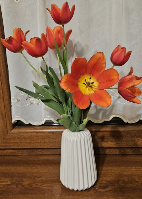 Înființez firme , SRL , PFA , II