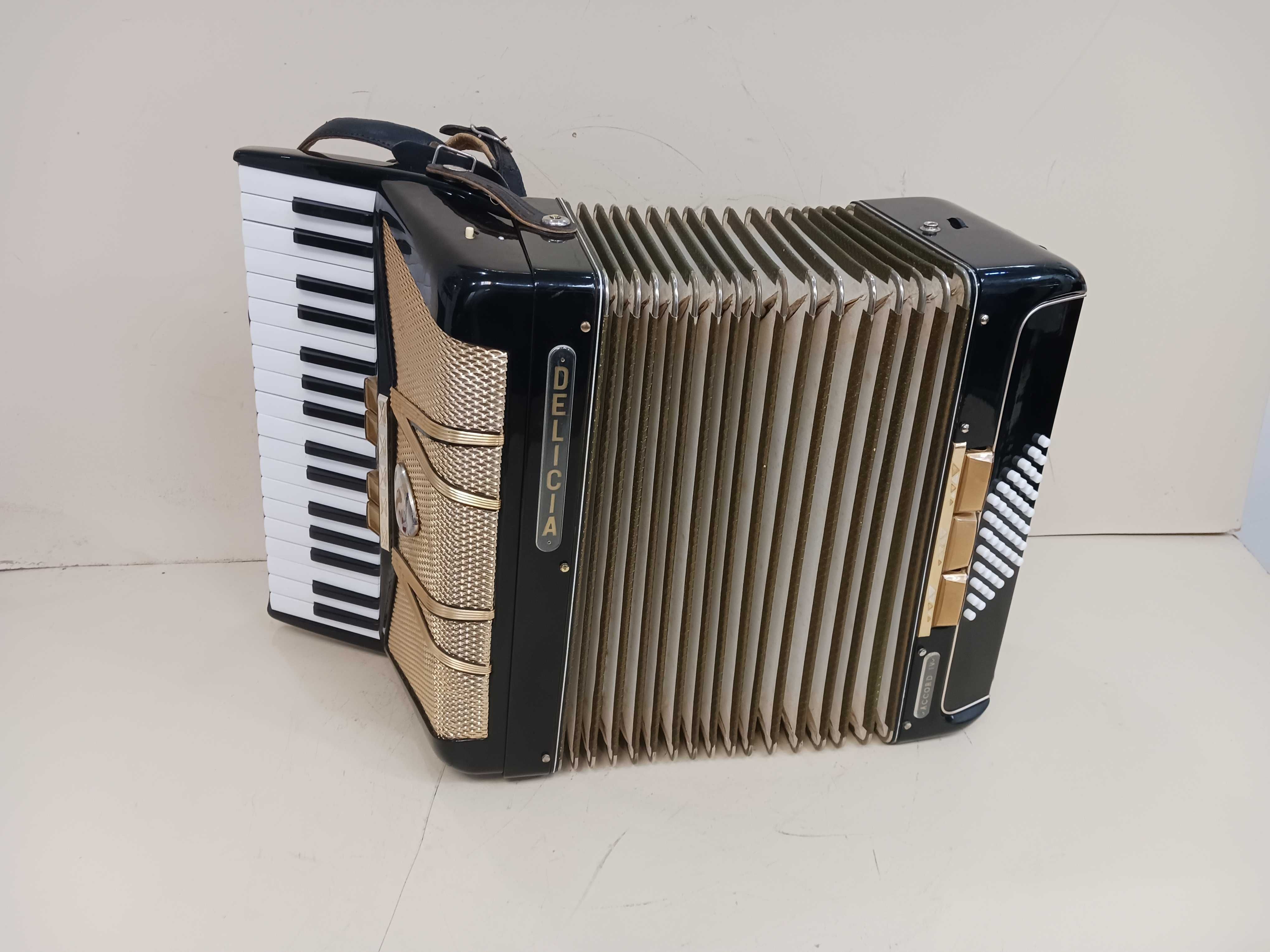 Acordeon Delicia 48 bas