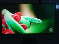 Monitor Samsung Smart 4k HDR 32 inch
