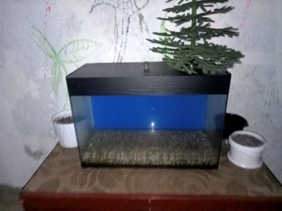 аквариум для рыбок
