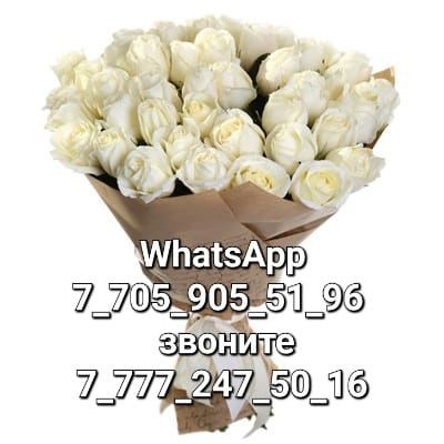 Дача в аренду rn Мирный
