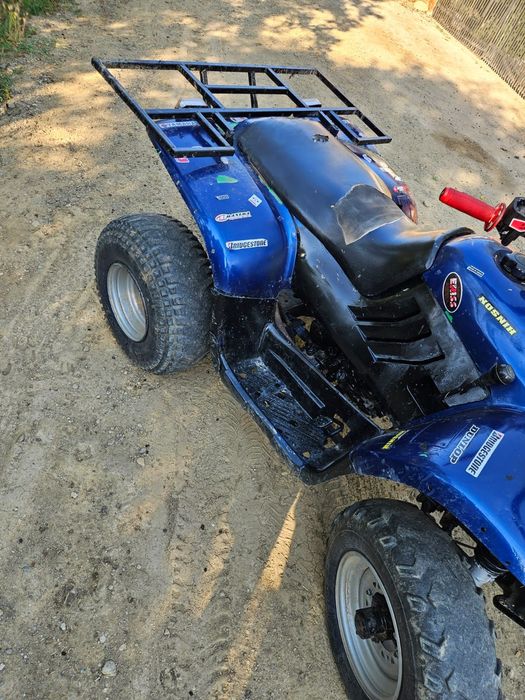 ATV Linhai 300Cc Carburație tracțiune Spate pe Cardan FARA ACTE