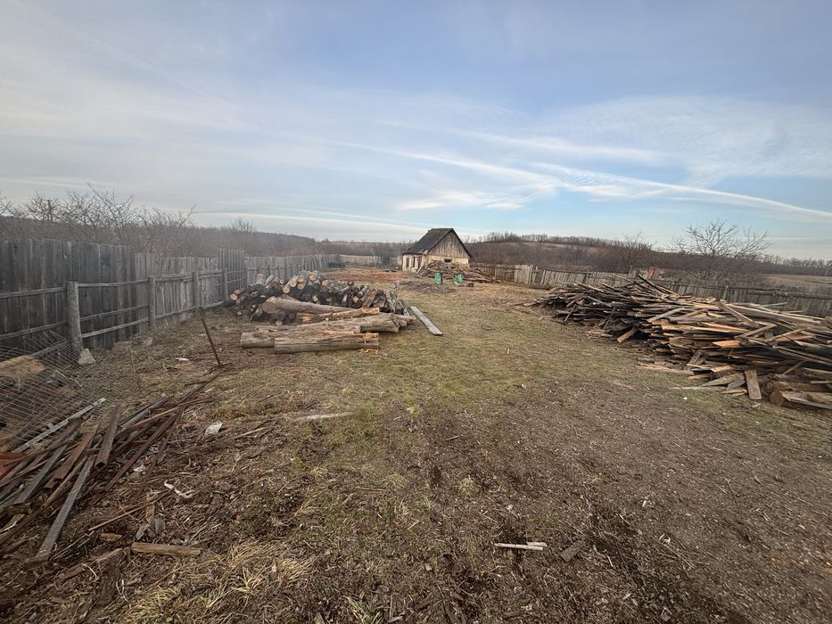 Hala 300 mp+ curte 6000 mp + utilaje de gater - de inchriat in Luguzau