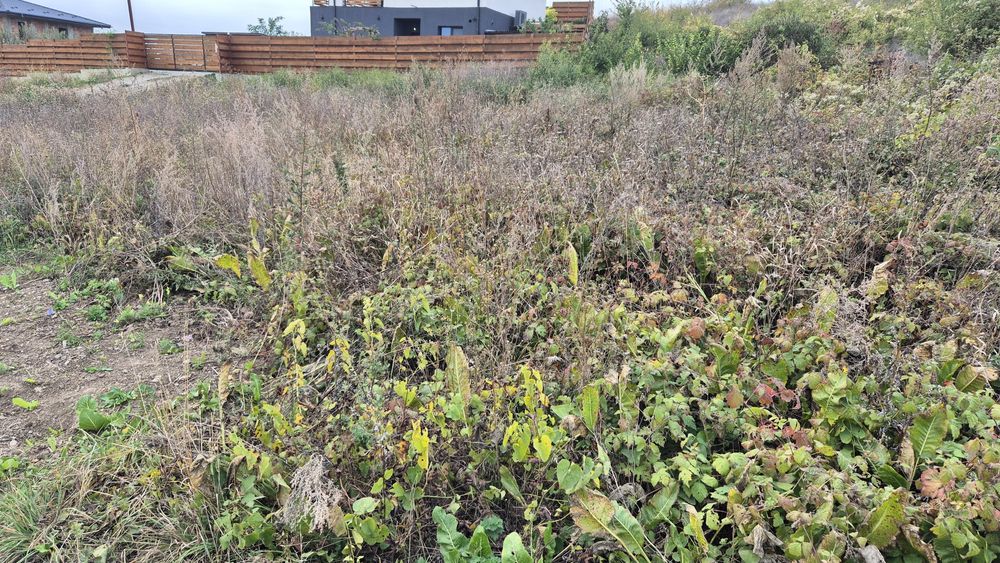 Teren Hlincea / 418 mp