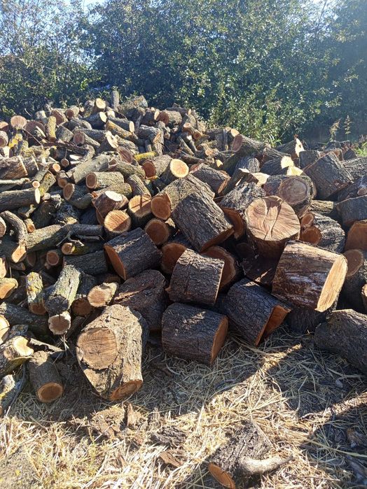 Продавам Дърва за огрев