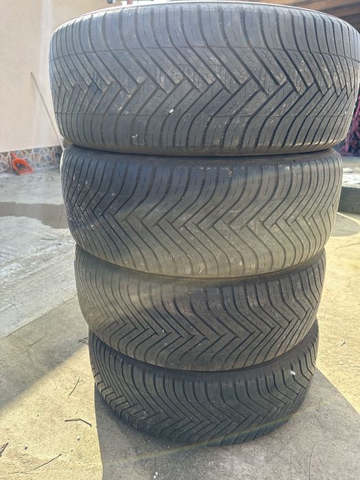 Caucicurile sunt in stare buna.