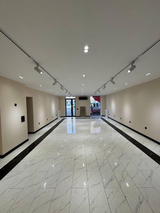 Shota Rustaveli kochasi