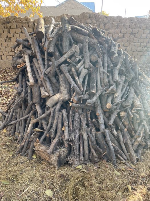 Мевали дарахт ўтинлари